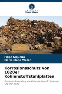 bokomslag Korrosionsschutz von 1020er Kohlenstoffstahlplatten