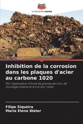 Inhibition de la corrosion dans les plaques d'acier au carbone 1020 1