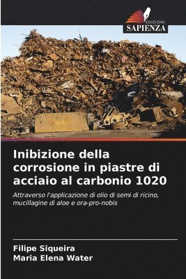 Inibizione della corrosione in piastre di acciaio al carbonio 1020 1