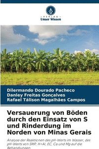 bokomslag Versauerung von Böden durch den Einsatz von S und Rinderdung im Norden von Minas Gerais