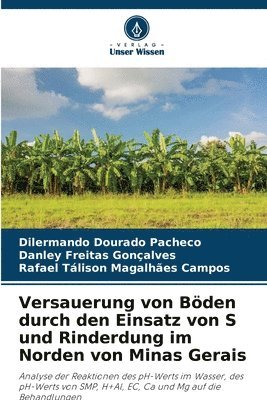 bokomslag Versauerung von Bden durch den Einsatz von S und Rinderdung im Norden von Minas Gerais