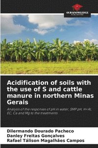 bokomslag Acidification of soils with the use of S and cattle manure in northern Minas Gerais