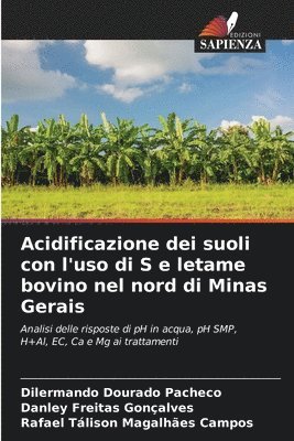 Dilermando Dourado Pacheco, Danley Freitas Gonçalves, Rafael Tálison Magalhães Campos - Acidificazione dei suoli con l'uso di S e letame bovino nel nord di Minas Gerais, Häftad