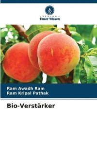 bokomslag Bio-Verstärker