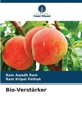 bokomslag Bio-Verstrker