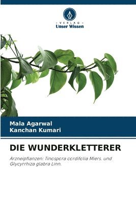 Wunderkletterer