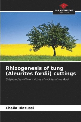 Rhizogenesis of tung (Aleurites fordii) cuttings 1