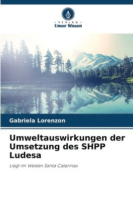 bokomslag Umweltauswirkungen der Umsetzung des SHPP Ludesa