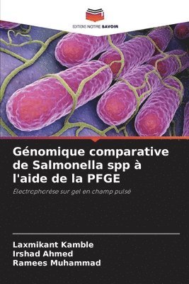 Laxmikant Kamble, Irshad Ahmed, Ramees Muhammad - Génomique comparative de Salmonella spp à l'aide de la PFGE, Häftad