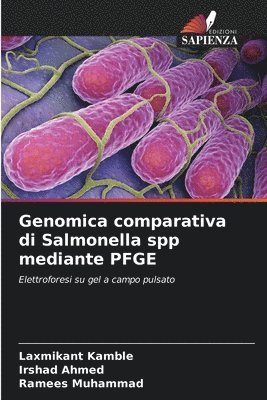 bokomslag Genomica comparativa di Salmonella spp mediante PFGE