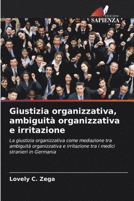 bokomslag Giustizia organizzativa, ambiguità organizzativa e irritazione