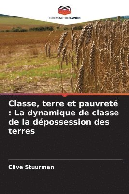 bokomslag Classe, terre et pauvreté