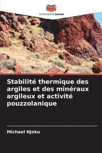 bokomslag Stabilit thermique des argiles et des minraux argileux et activit pouzzolanique