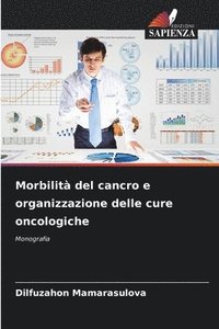 bokomslag Morbilit del cancro e organizzazione delle cure oncologiche