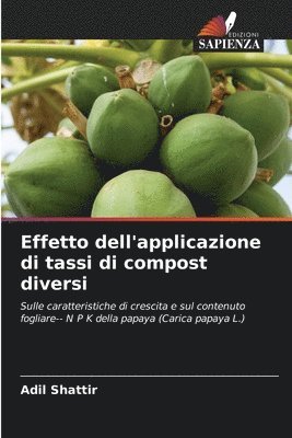 bokomslag Effetto dell'applicazione di tassi di compost diversi