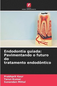 bokomslag Endodontia guiada