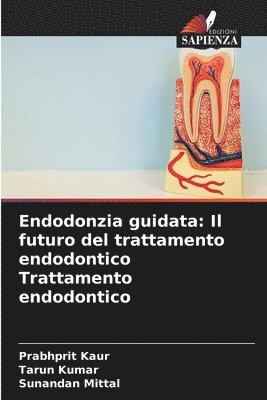 bokomslag Endodonzia guidata: Il futuro del trattamento endodontico Trattamento endodontico