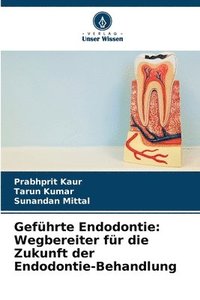 bokomslag Geführte Endodontie: Wegbereiter für die Zukunft der Endodontie-Behandlung