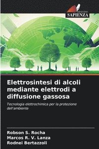 bokomslag Elettrosintesi di alcoli mediante elettrodi a diffusione gassosa