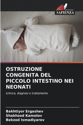 bokomslag Ostruzione Congenita del Piccolo Intestino Nei Neonati