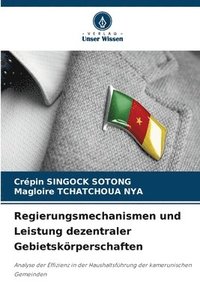 bokomslag Regierungsmechanismen und Leistung dezentraler Gebietskörperschaften