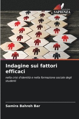 bokomslag Indagine sui fattori efficaci