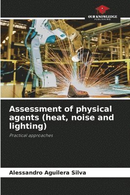 Alessandro Aguilera Silva - Assessment of physical agents (heat, noise and lighting), Häftad