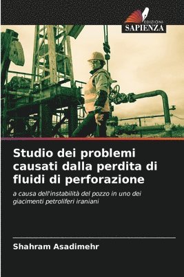 bokomslag Studio dei problemi causati dalla perdita di fluidi di perforazione