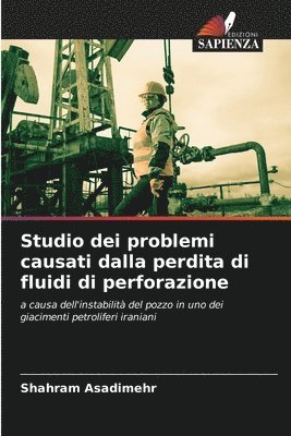 Studio dei problemi causati dalla perdita di fluidi di perforazione
