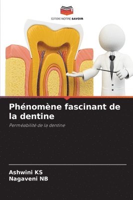 bokomslag Phénomène fascinant de la dentine