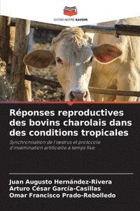 bokomslag Réponses reproductives des bovins charolais dans des conditions tropicales