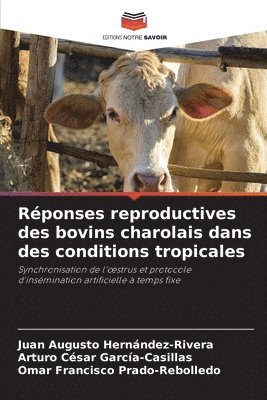 bokomslag Rponses reproductives des bovins charolais dans des conditions tropicales