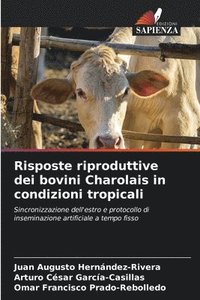 bokomslag Risposte riproduttive dei bovini Charolais in condizioni tropicali