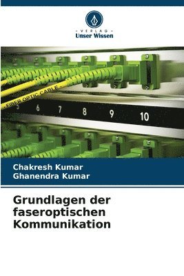 bokomslag Grundlagen der faseroptischen Kommunikation