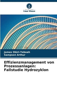 bokomslag Effizienzmanagement von Prozessanlagen