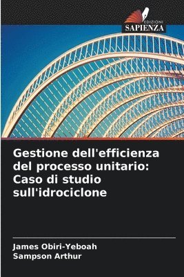 bokomslag Gestione dell'efficienza del processo unitario