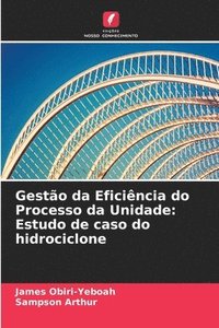 bokomslag Gesto da Eficincia do Processo da Unidade