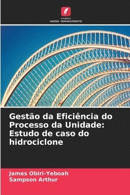 bokomslag Gesto da Eficincia do Processo da Unidade