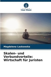 bokomslag Skalen- und Verbundvorteile: Wirtschaft für Juristen