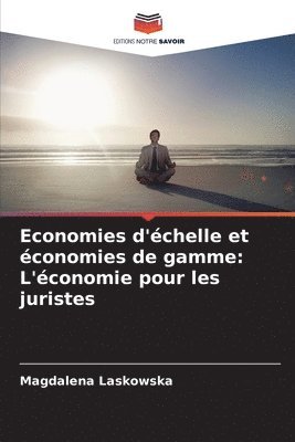 bokomslag Economies d'échelle et économies de gamme: L'économie pour les juristes