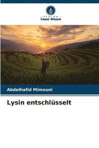 bokomslag Lysin entschlüsselt