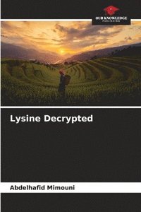 bokomslag Lysine Decrypted