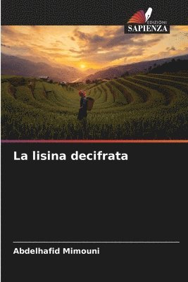 bokomslag lisina decifrata