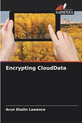 bokomslag Encrypting CloudData