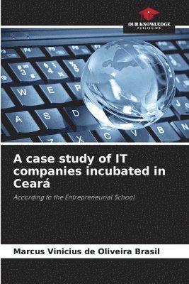 bokomslag A case study of IT companies incubated in Cear