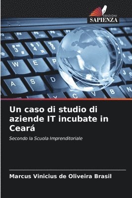 bokomslag Un caso di studio di aziende IT incubate in Cear