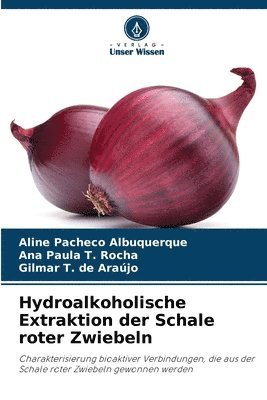 Hydroalkoholische Extraktion der Schale roter Zwiebeln 1