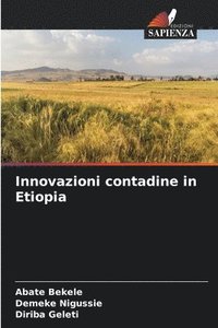 bokomslag Innovazioni contadine in Etiopia