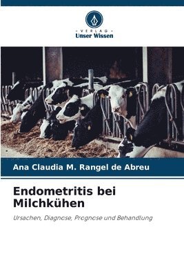 bokomslag Endometritis bei Milchkhen