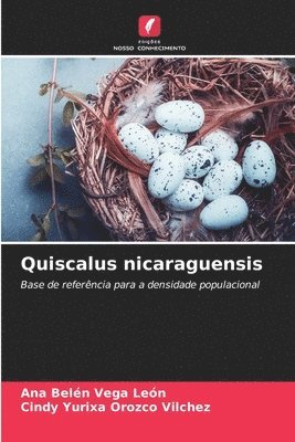 Quiscalus nicaraguensis 1